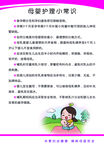 母婴护理小常识