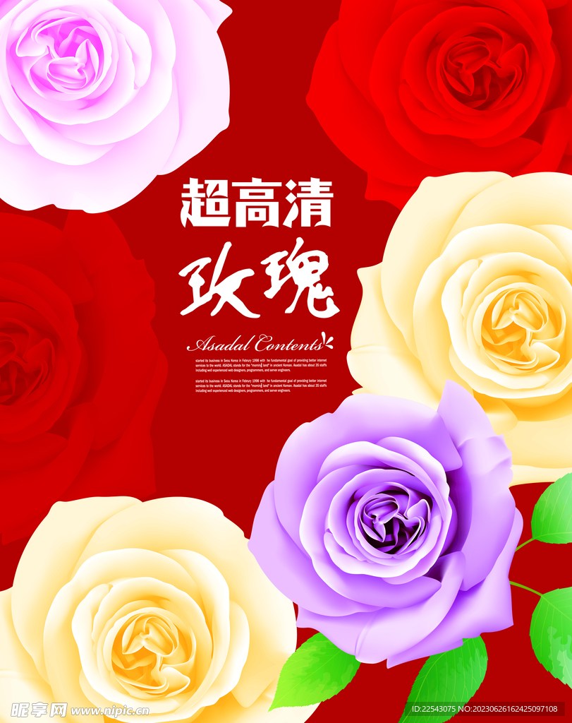 玫瑰花