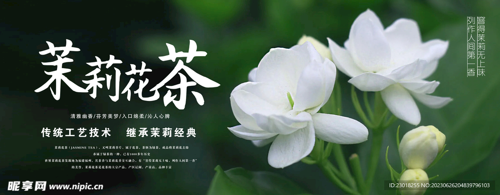 茉莉花茶