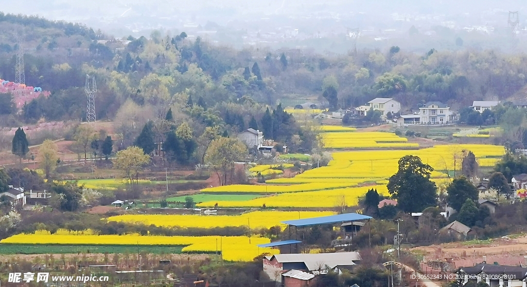 梯田