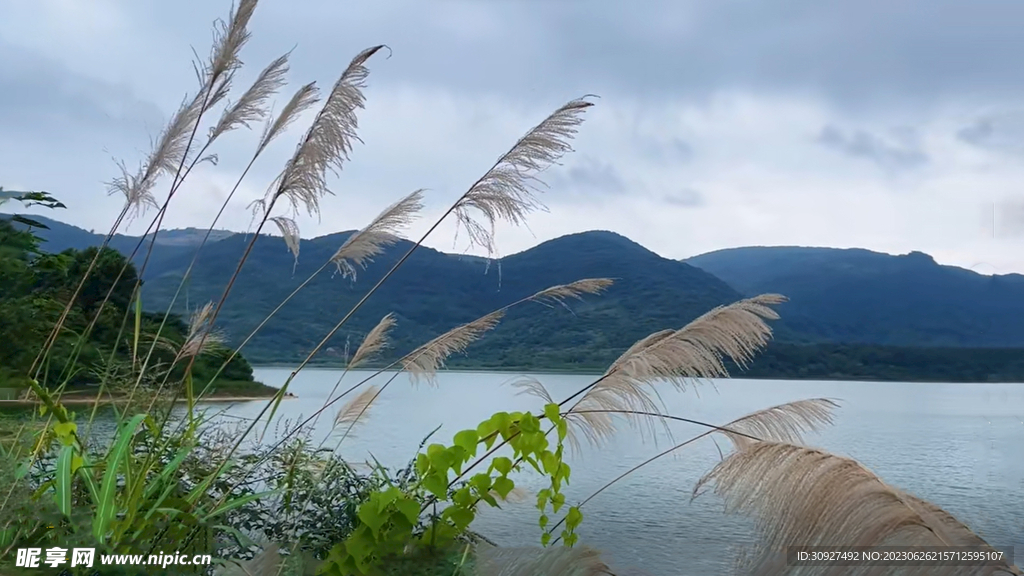 湖景