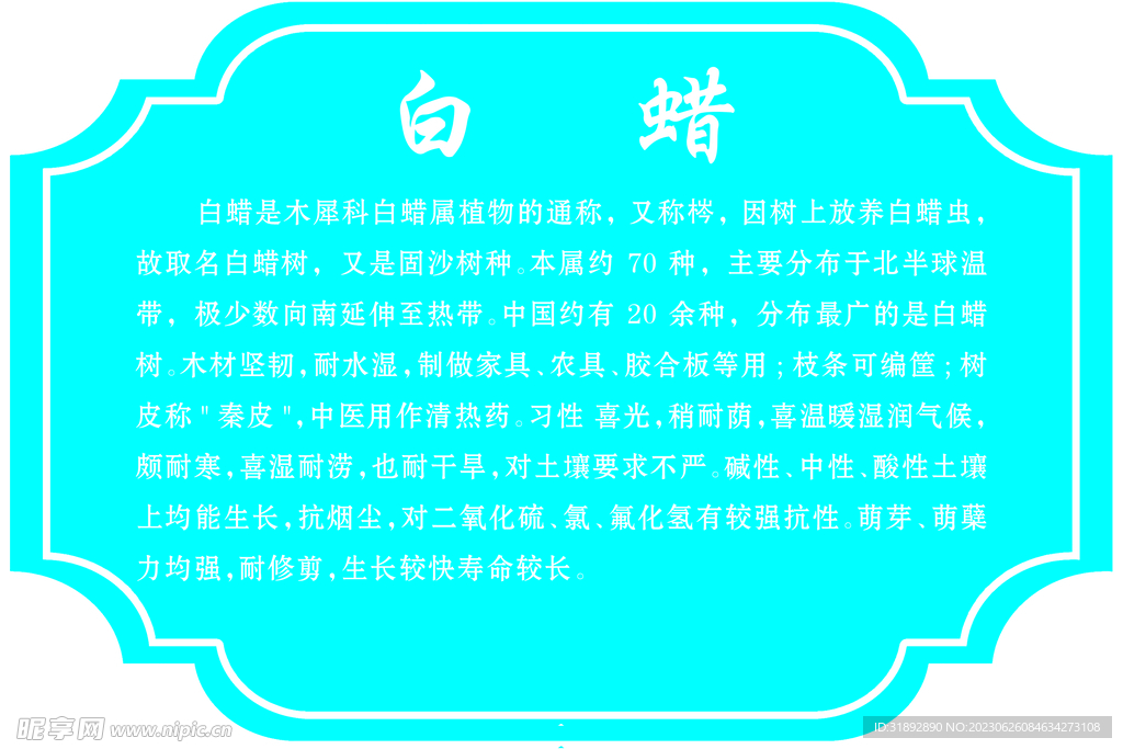 花草牌