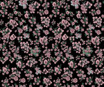 小花 