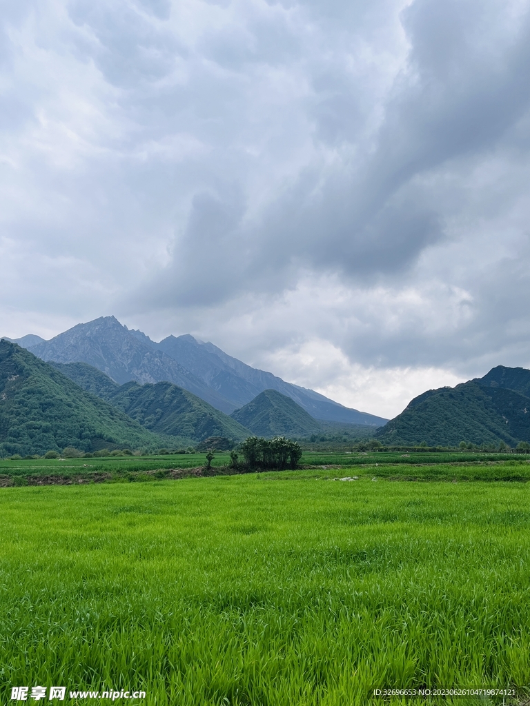 风景