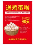 送鸡蛋宣传单