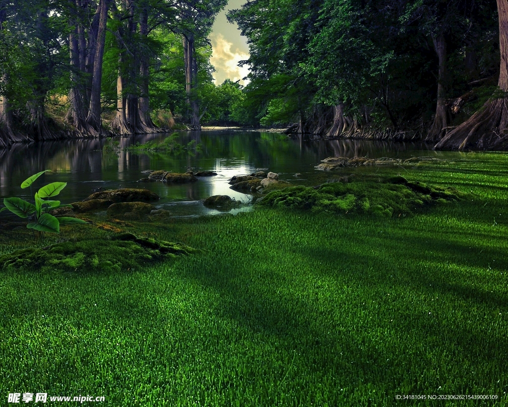 哥特式森林风景