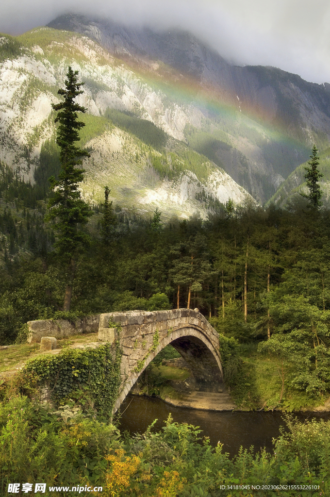 哥特式森林风景