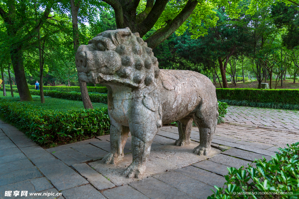 南京明孝陵石象路 