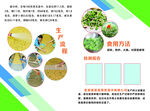 豆苗培育彩页