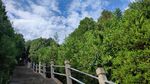 骊山