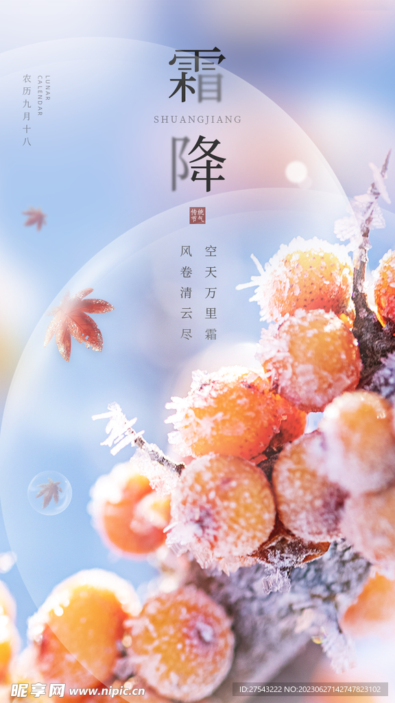 霜降节气海报