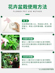 花卉盆栽用量方法