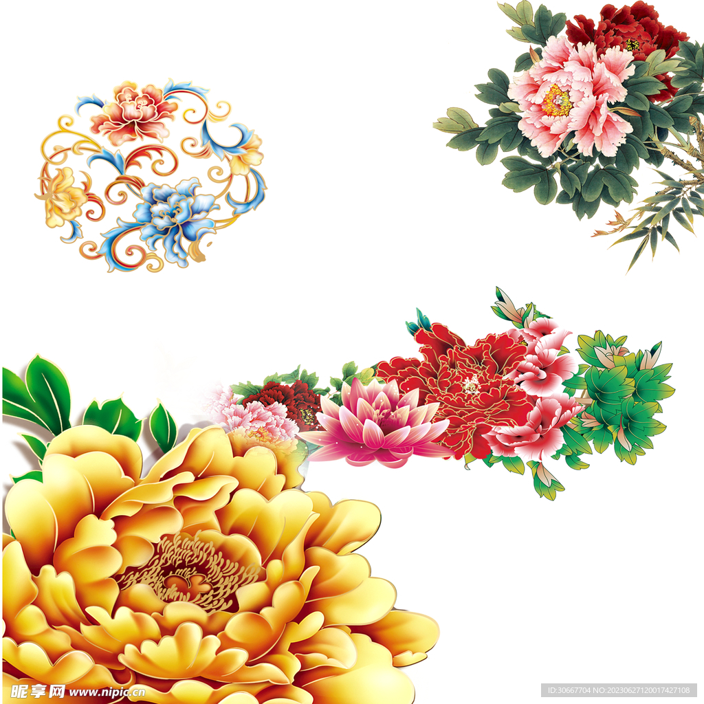 牡丹花