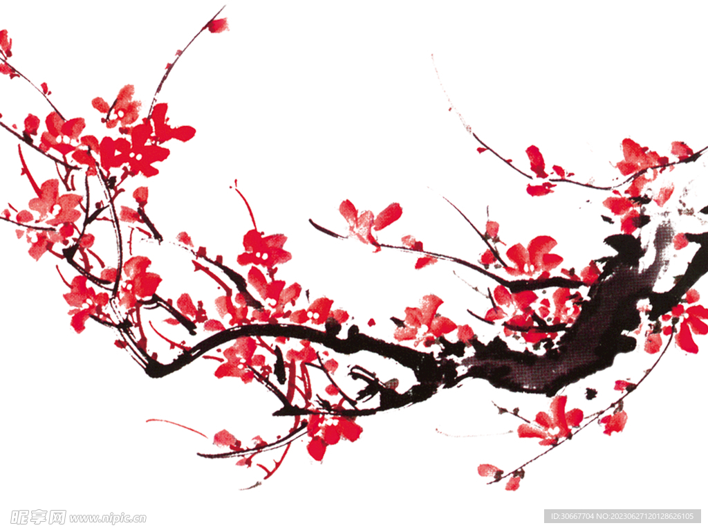 梅花
