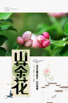 山茶花