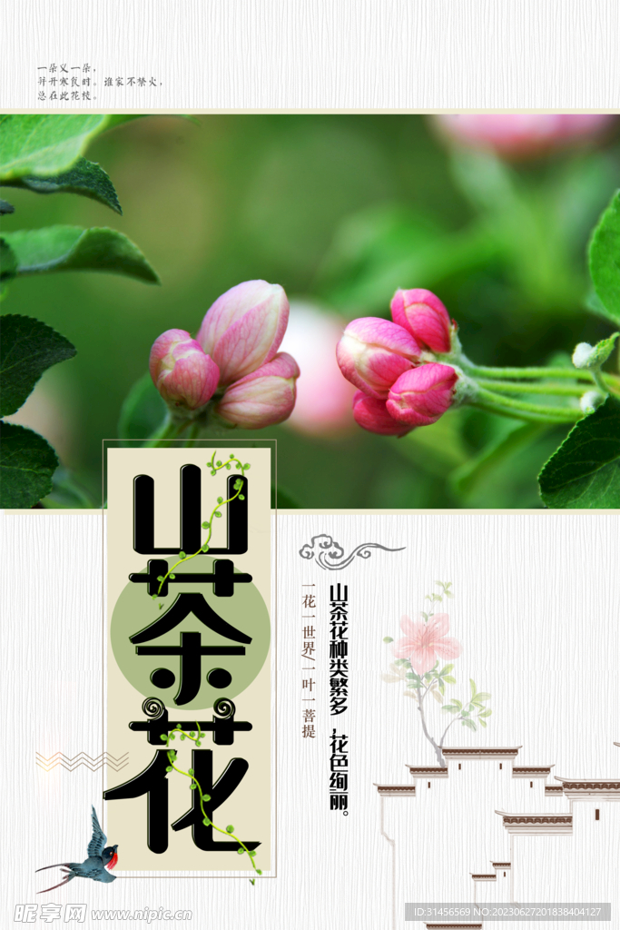 山茶花