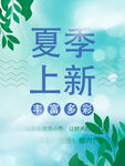 夏季上新
