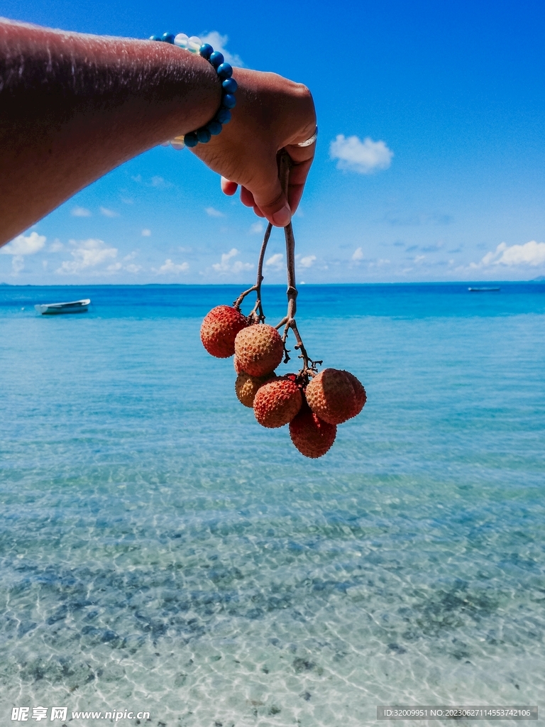 荔枝 海边