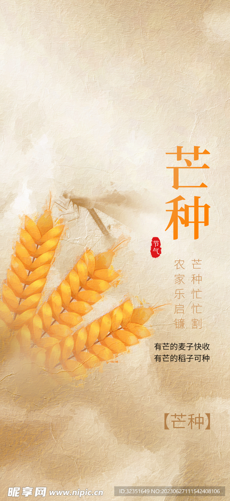 芒种节气海报