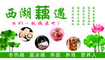 藕粉 