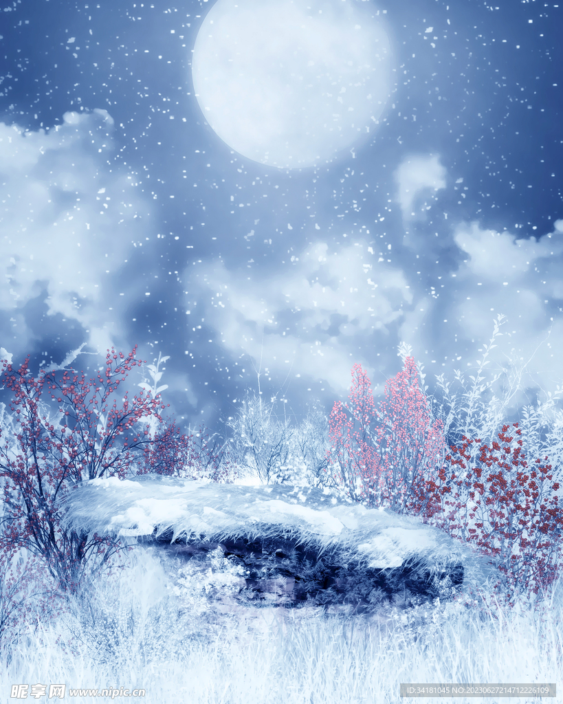 梦幻雪景