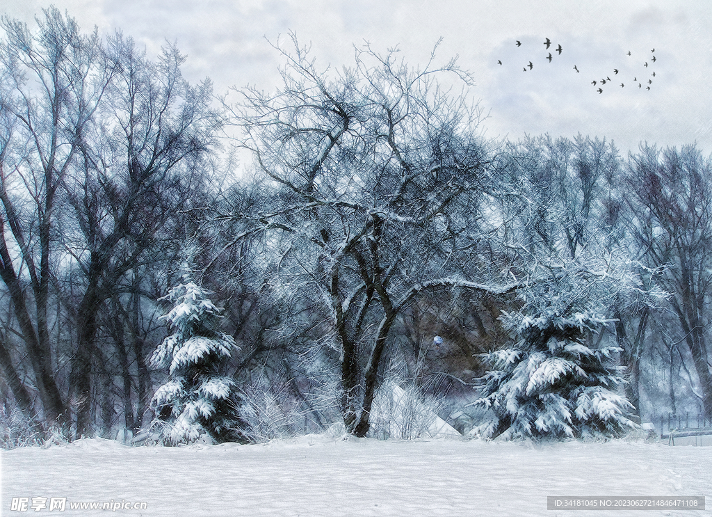 雪景 