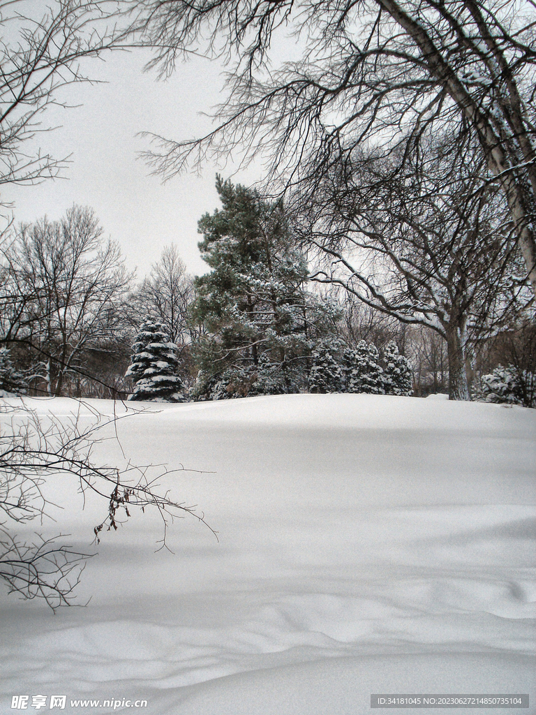 雪景