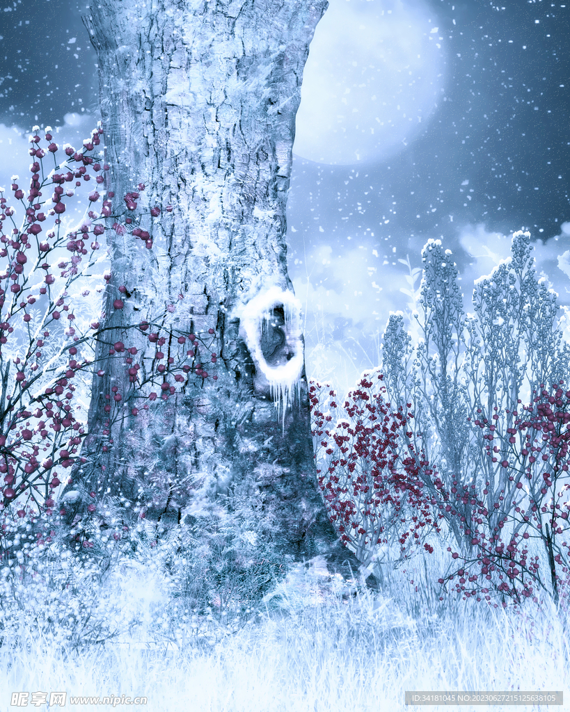 雪景 
