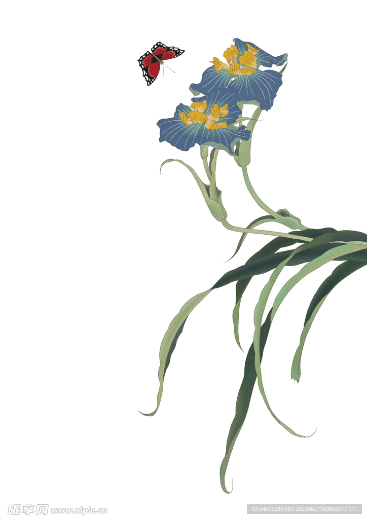 花鸟国画