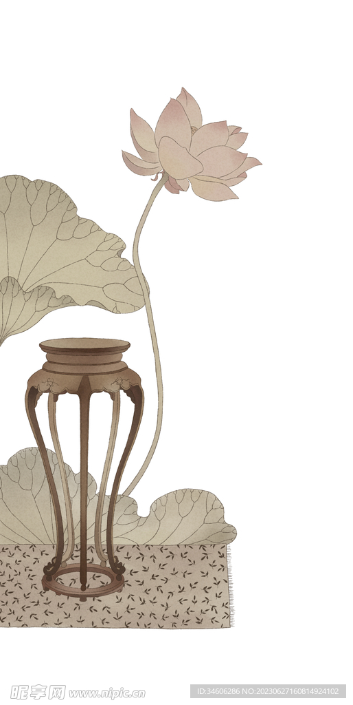 荷花插画 国画