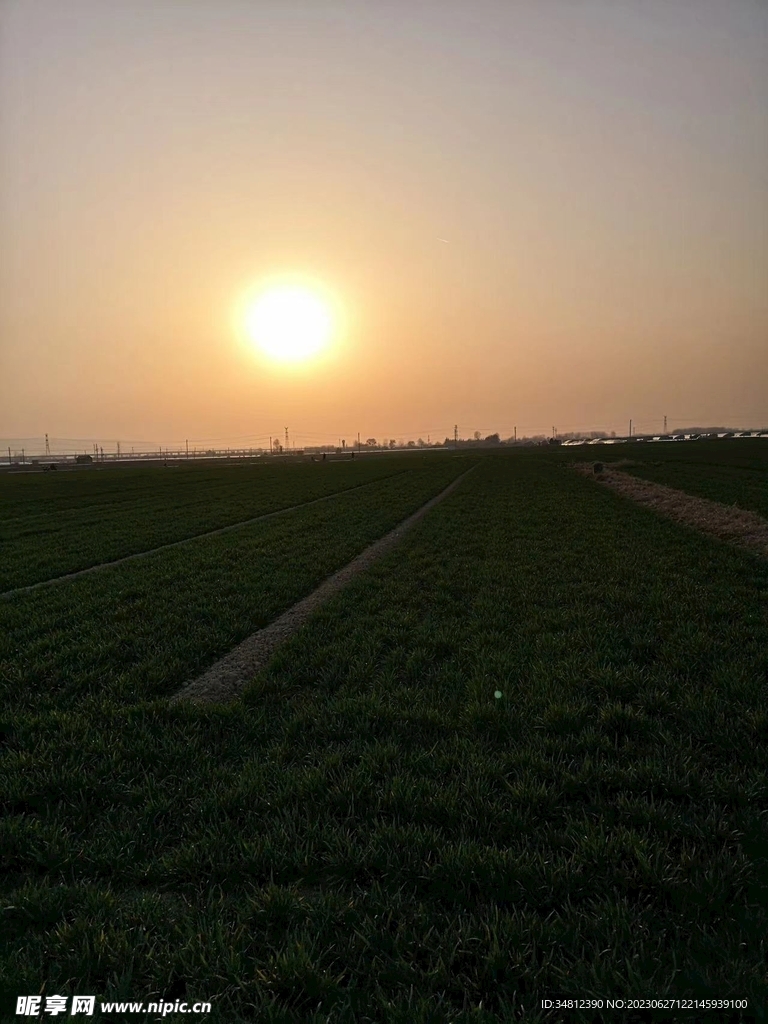 夕阳下的田野里