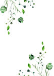 水彩绿植边框 