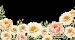 水彩花卉png