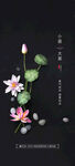 小暑