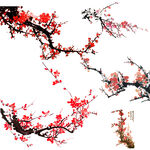 梅花