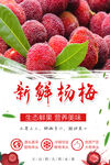 杨梅