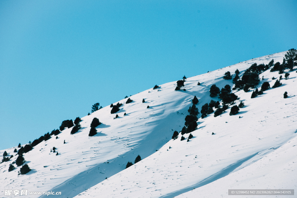 雪山