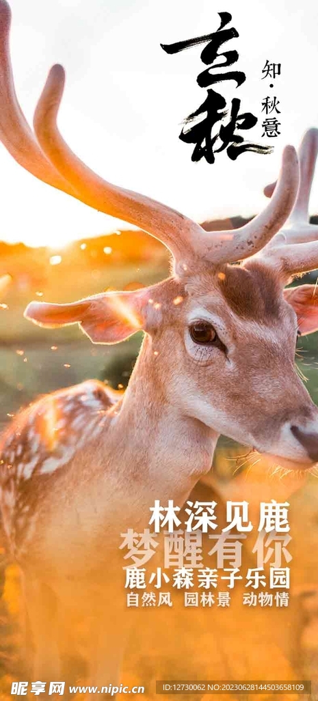 立秋海报