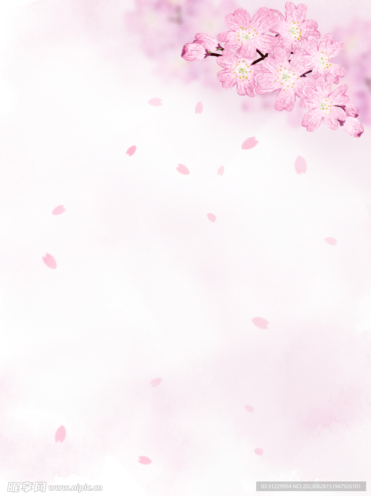  花朵背景
