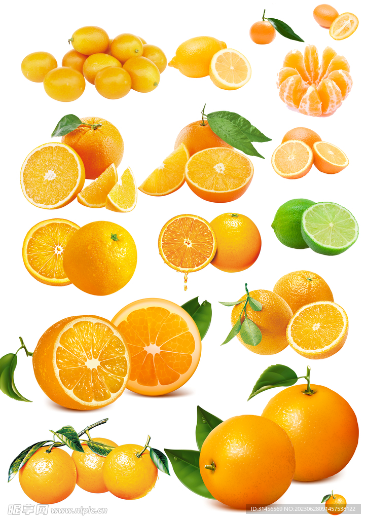 免抠橙子