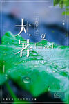 大暑海报