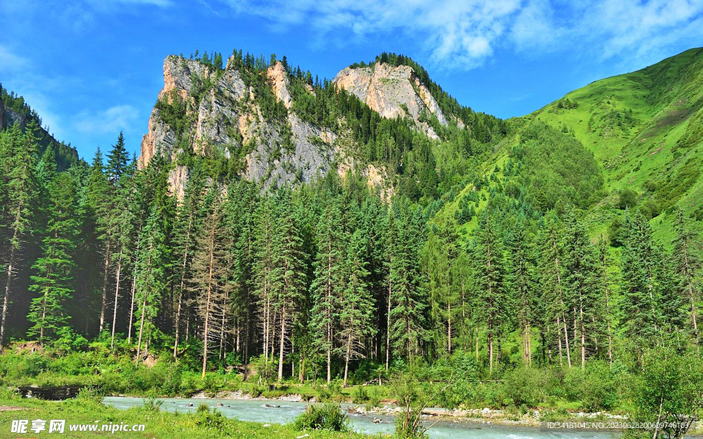 山脉山林