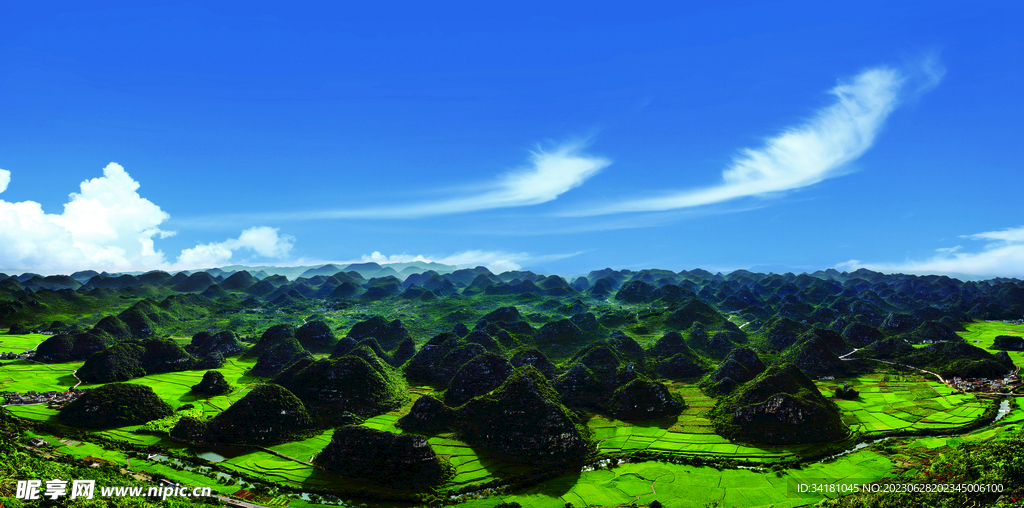 山林