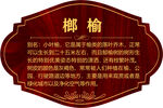 树牌 标识牌