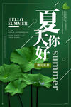 夏天你好