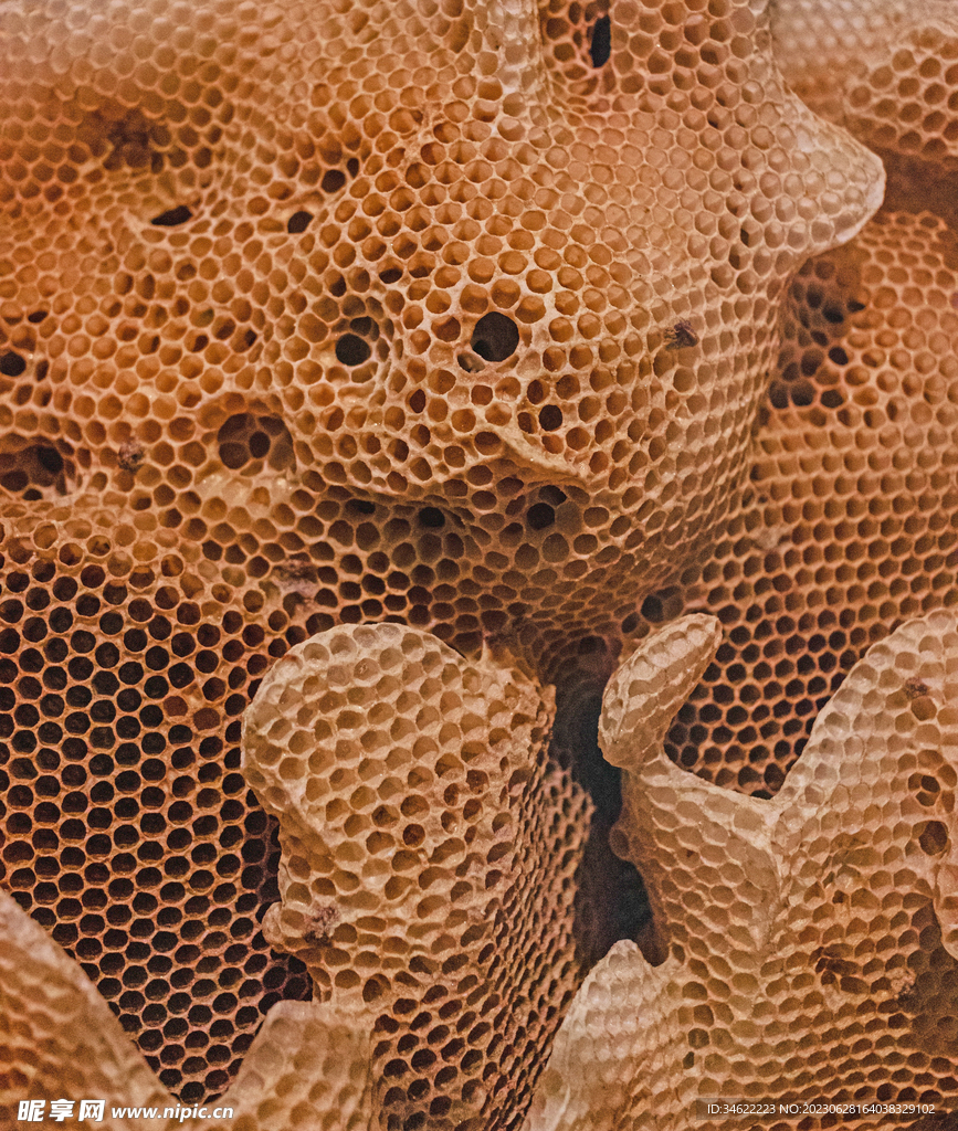 蜂蜜
