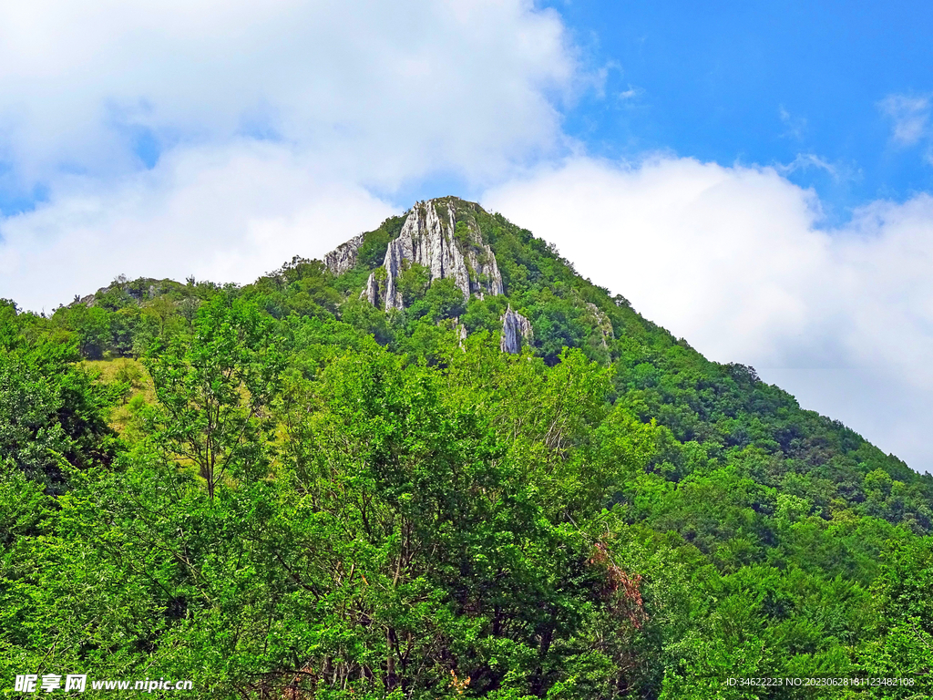 青山