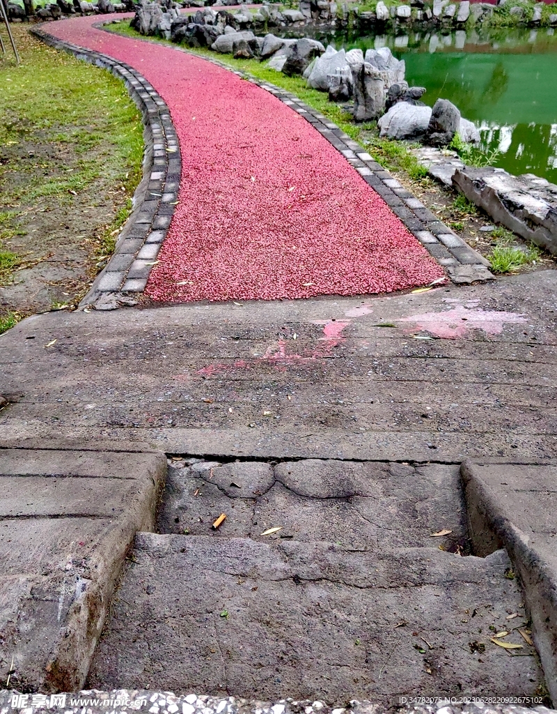 公园小路
