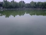 公园湖水风景