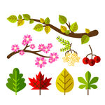 树叶树枝